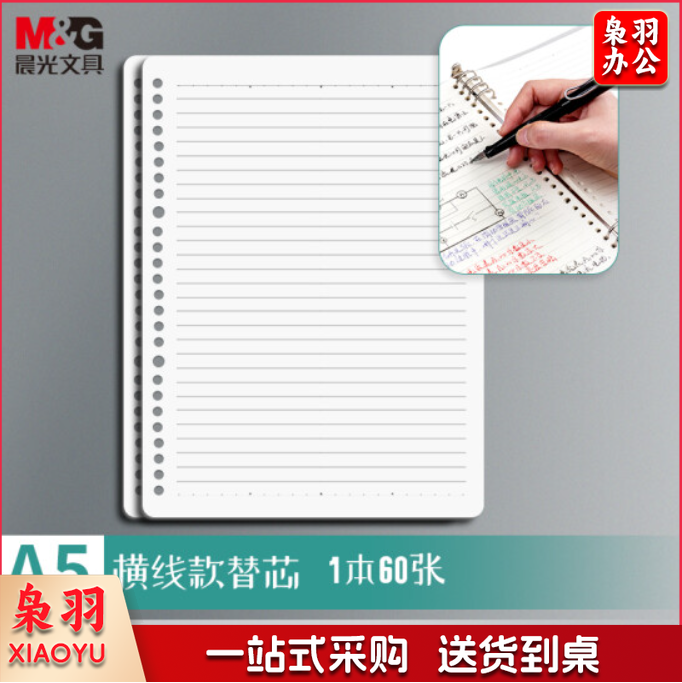 晨光(M&G)APY9F20P-A A5/60张活页本替芯 20孔笔记本活页纸内页 横线单本装