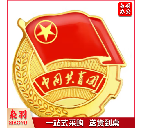 不褪色镀金团徽胸章 标准款团徽 别针款加厚团徽徽章