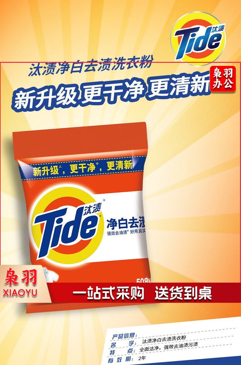 汰渍 洗衣粉(小袋) 508克/