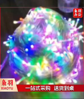 灯串+灯笼 100米 每串 ZTLR0109090322111