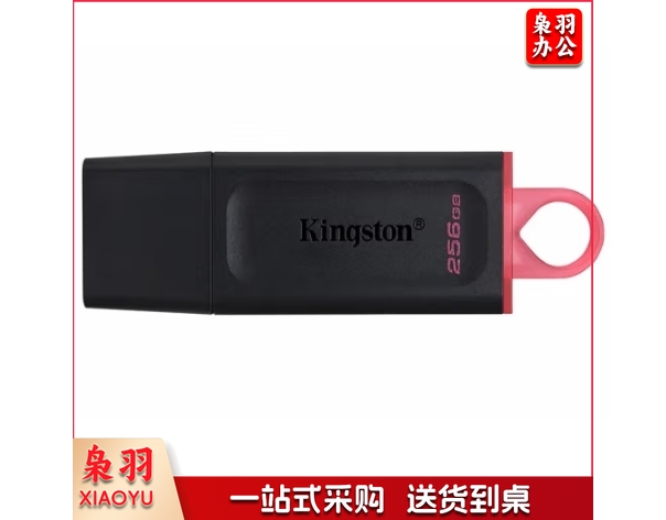 金士顿(Kingston)256GB USB 3.2 Gen 1 U盘 DTKN 金属外壳 读速200MB/s