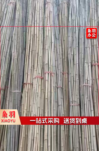 竹竿 活动飘旗竹杆 3.6米/根