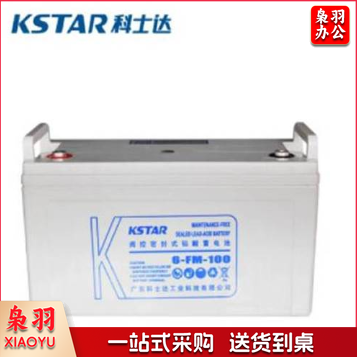 科士达 6-FM-100 12V100AH 铅酸蓄电池
