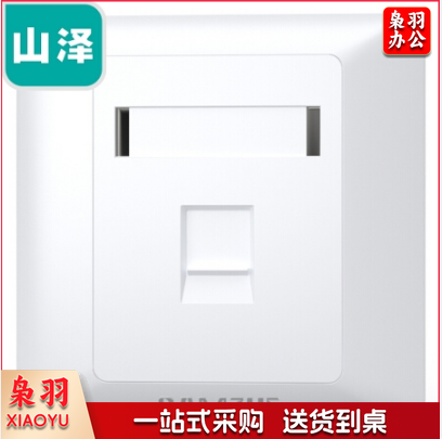 山泽(SAMZHE)电脑插座网口网络面板 适用电话信息模块 通用超五/六/七类模块加厚86型面板 单口WAN-01