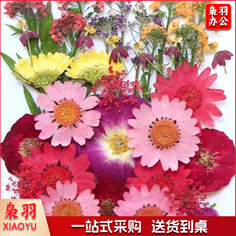 干花花材 圣诞花火