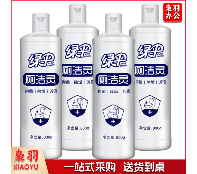 绿伞 洁厕灵800g*1瓶 洁厕液 洁厕剂 厕所去味马桶清洁剂洁厕宝洁厕精