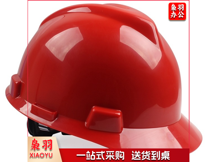 梅思安V-Gard标准型PE安全帽一指键帽衬针织布吸汗带E型下颌带V型