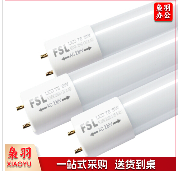 佛山（FSL）灯管 T8 30W LED双端1.2米日光灯管 6500K 白光-