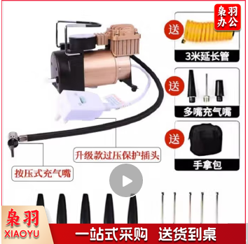电动充气泵 220V家用电动充气泵足球篮球电动打气筒球类汽车游泳圈轮胎充气泵