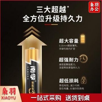 南孚5号电池 五号碱性 聚能环4代  PJ.806