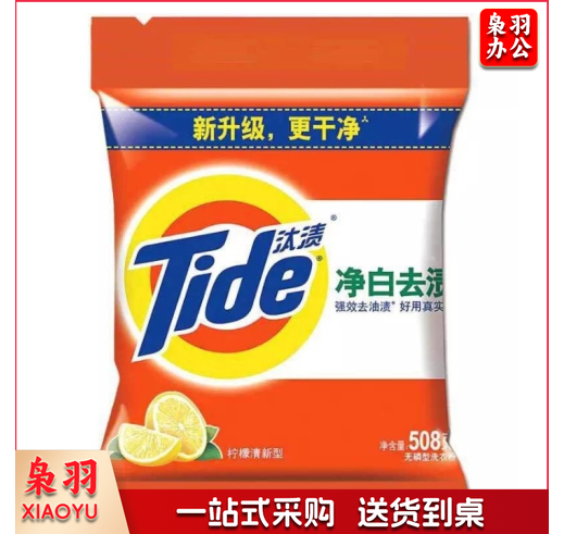 汰渍（TIDE）洗衣粉（小袋）508克/袋