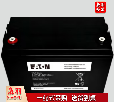伊顿伊顿阀控密封式蓄电池免维护12V100AH P-ETNFLB12100-H阻燃外壳 P-ETNFLB12100-H