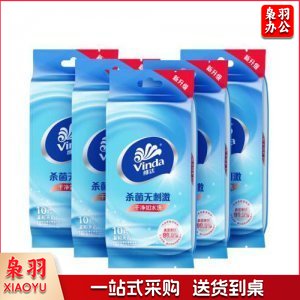 维达 Vinda VW1009A 无香无刺激湿巾 洁肤卫生湿巾 10片独立装 1包