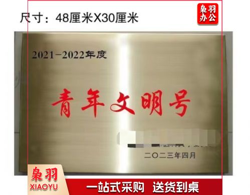 奖牌 门牌 青年文明号奖牌48*30cm 具体定制内容联系客服