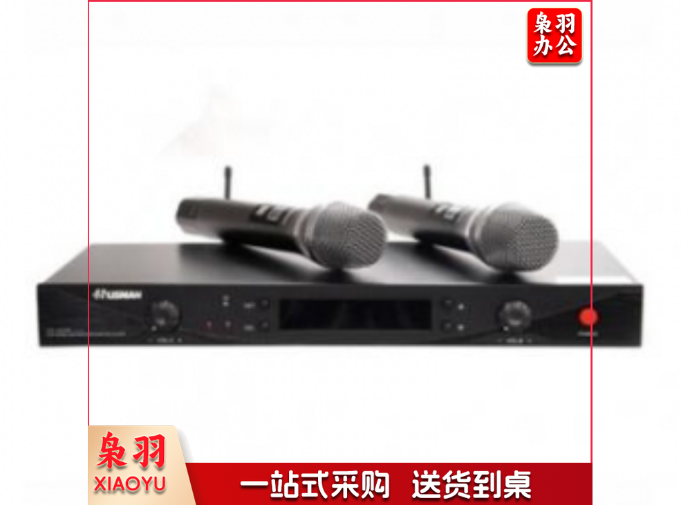 湖山DS-UT20 无线话筒 一拖二 一拖二无线传声器