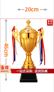 金属奖杯  46*20 cm