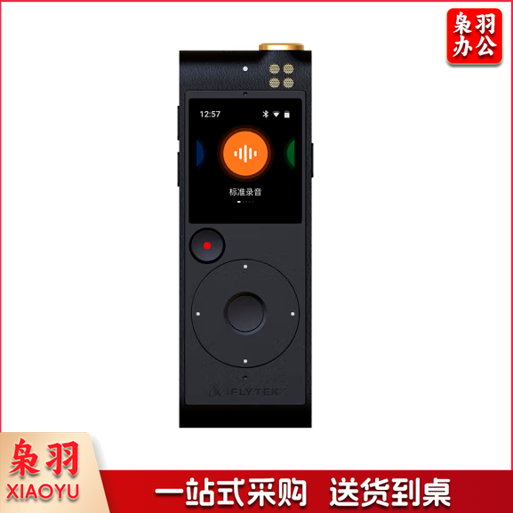 科大讯飞智能录音笔SR-201 免费转写   触摸屏融合按键操作 专业降噪 32G+云储存 星空灰