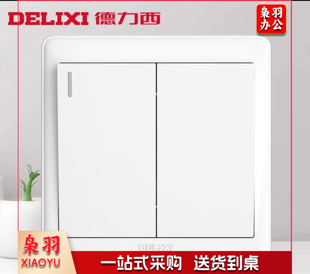 德力西二开单控 双开单控开关