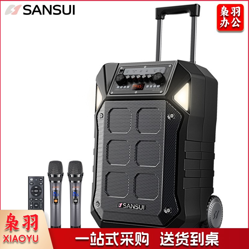 山水 SANSUI D15 15英寸户外广场舞拉杆音响蓝牙室外演出大功率重低音演出级移动k歌音箱带无线麦克风