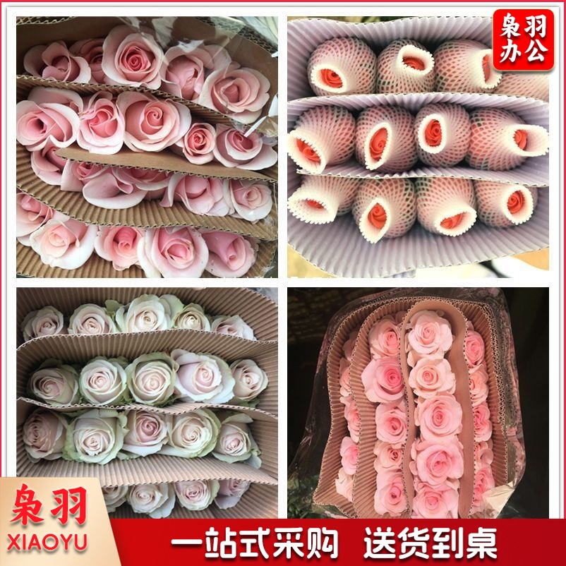 2d261e3c-c22f-41e8-8e17-66b5d041ccd5.jpe