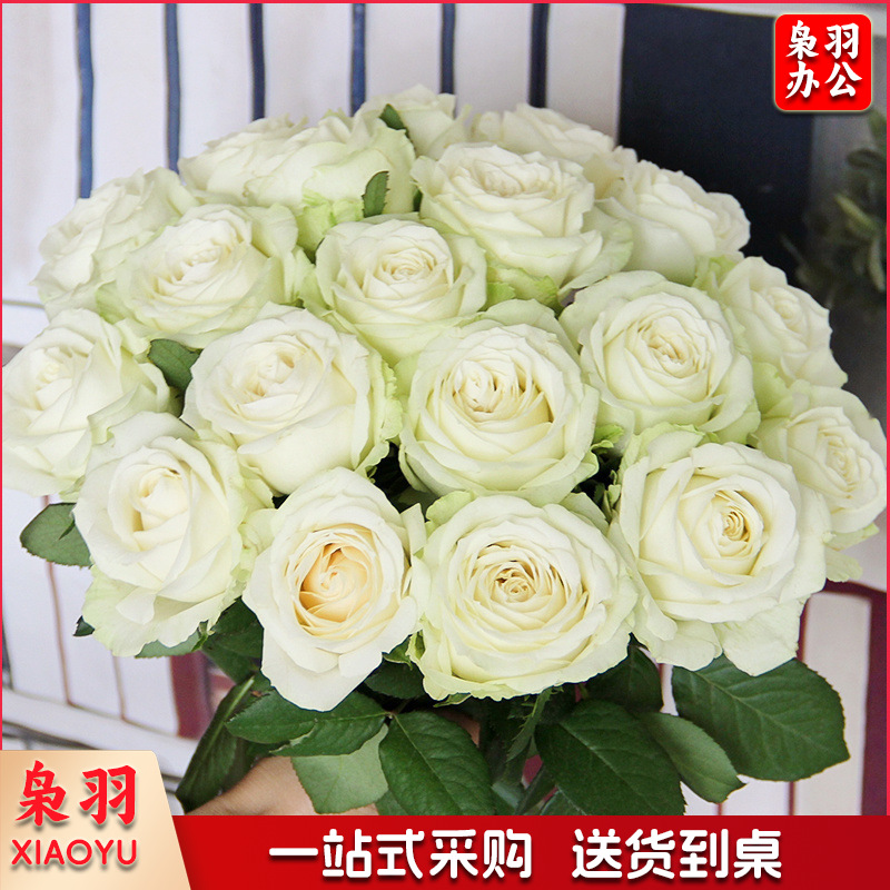 鲜花香槟玫瑰昆明基地直发水养鲜切花同城速递情人节花束（定制款详情咨询客服）