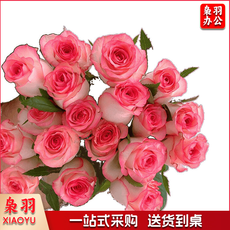 鲜花香槟玫瑰昆明基地直发水养鲜切花同城速递情人节花束（定制款详情咨询客服）