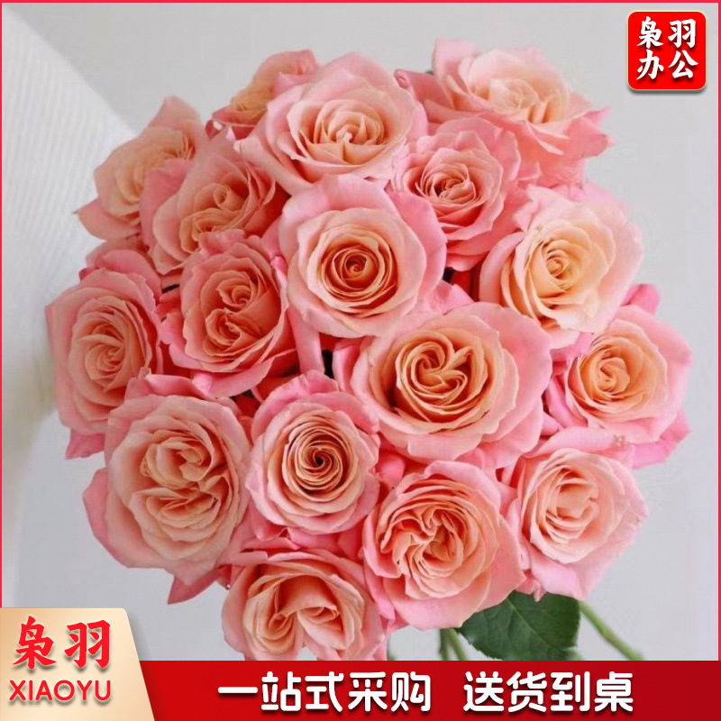 鲜花香槟玫瑰昆明基地直发水养鲜切花同城速递情人节花束（定制款详情咨询客服）