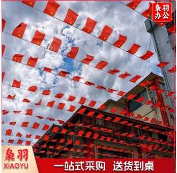 中国五星红旗国旗带杆户外串旗壁挂斜插式旗杆 门口家里店铺商场装饰马路路灯挂旗 【国旗串旗2条】8号国旗100面(约30米)紧密款