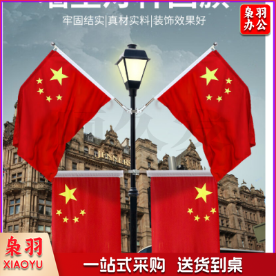 中国五星红旗国旗带杆户外串旗壁挂斜插式旗杆 门口家里店铺商场装饰马路路灯挂旗 【国旗串旗2条】8号国旗100面（约30米）紧密款