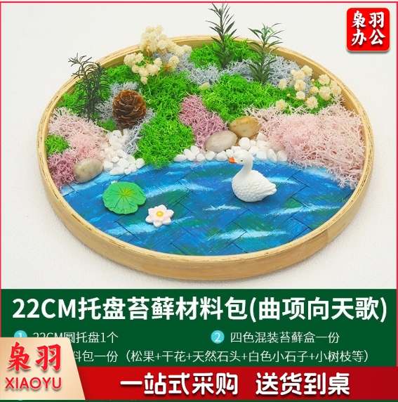 苔藓微景观盆栽diy材料包 （小号）曲项向天歌+微景观材料包