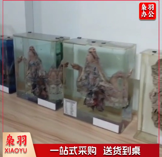 方形亚克力标本储存瓶30x40x5cm