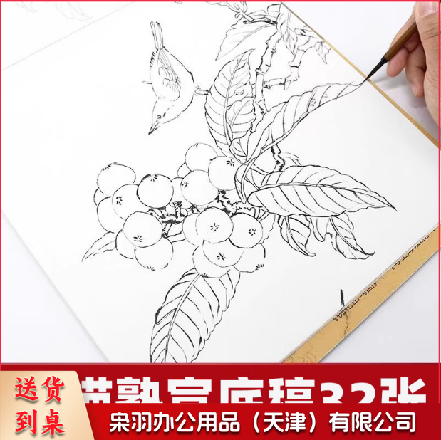 工笔画底稿白描花鸟 综合款底稿32张   货号：JC