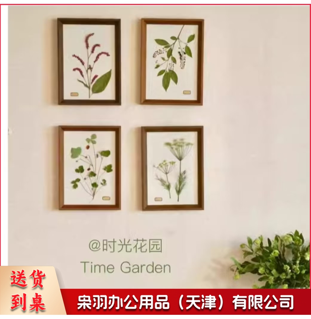 植物标本挂画