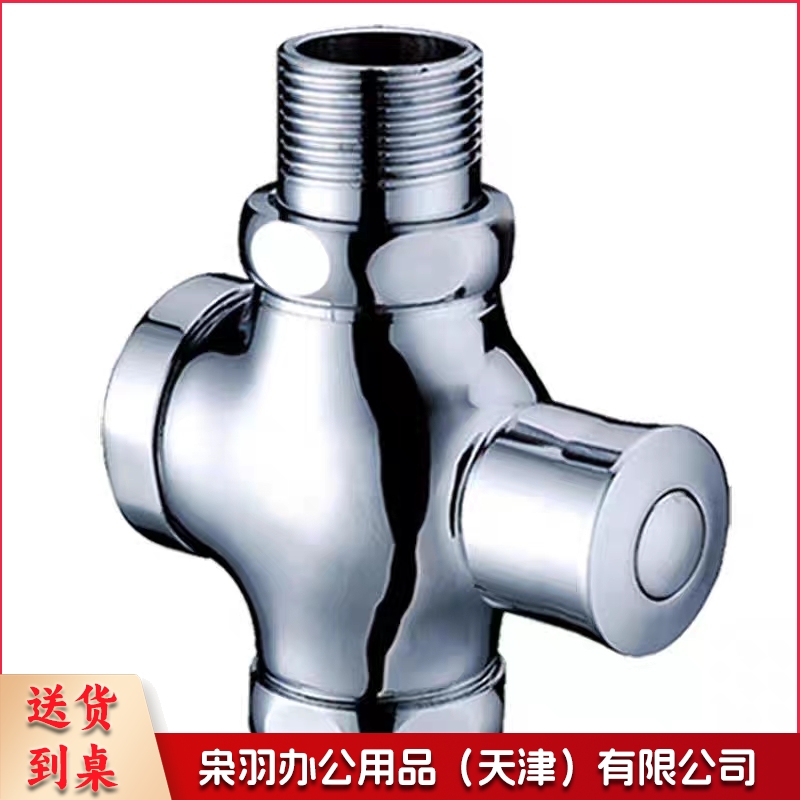 全铜延时冲水阀 特大体 手按式