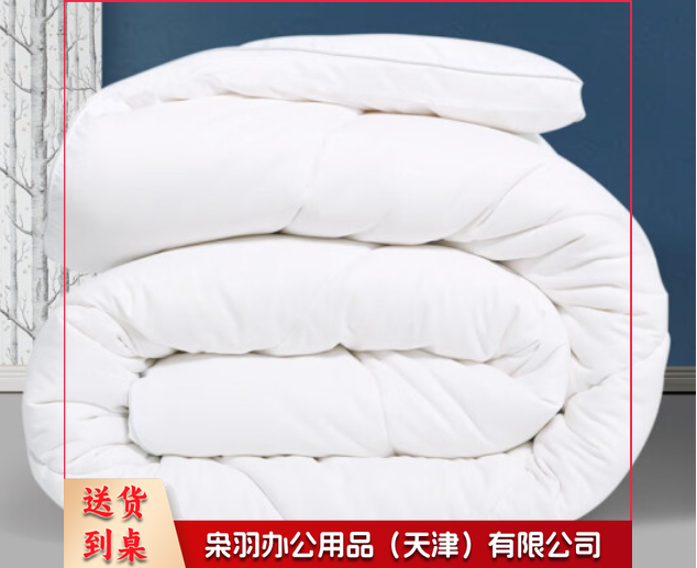 双人夏季酒店式被芯5斤       230cm*250cm  丝绒棉