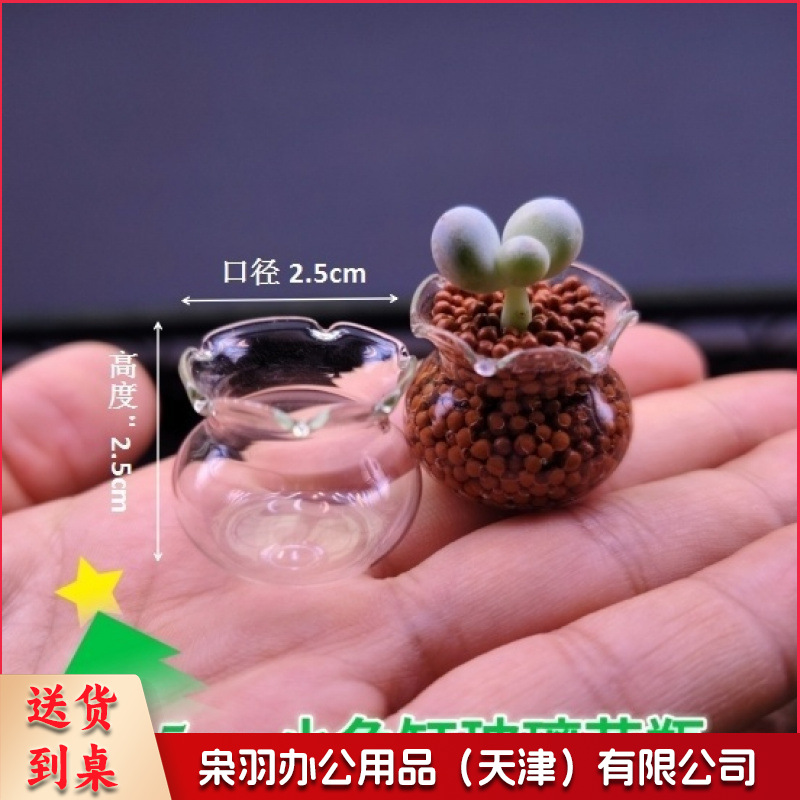【多肉花盆迷你玻璃】花边鱼缸拇指盆高颜值花园阳台超萌可爱清新2.5*2cm多肉玻璃瓶