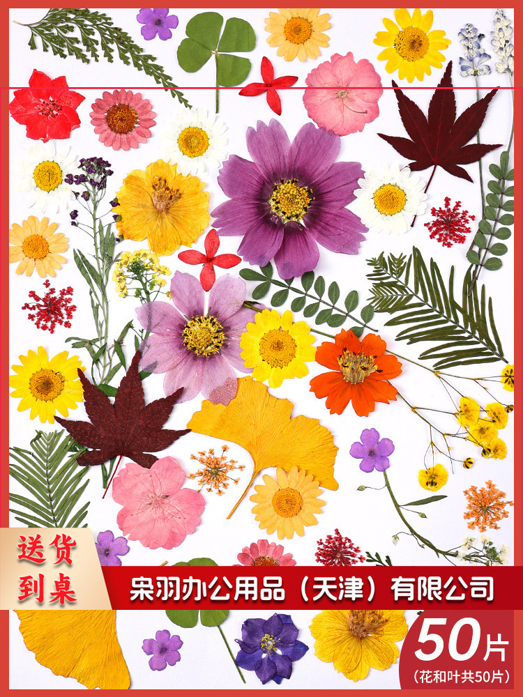 亚克力压花相框手工diy(夏花灿烂(干花包50片))制作材料包干花植物标本框透明装饰绘画框