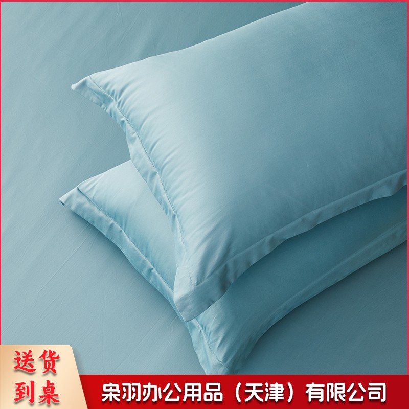 60支新疆长绒棉枕套全棉纯棉纯色成人枕套48*74cm枕套一对装 60支长绒棉枕套—冰川蓝
