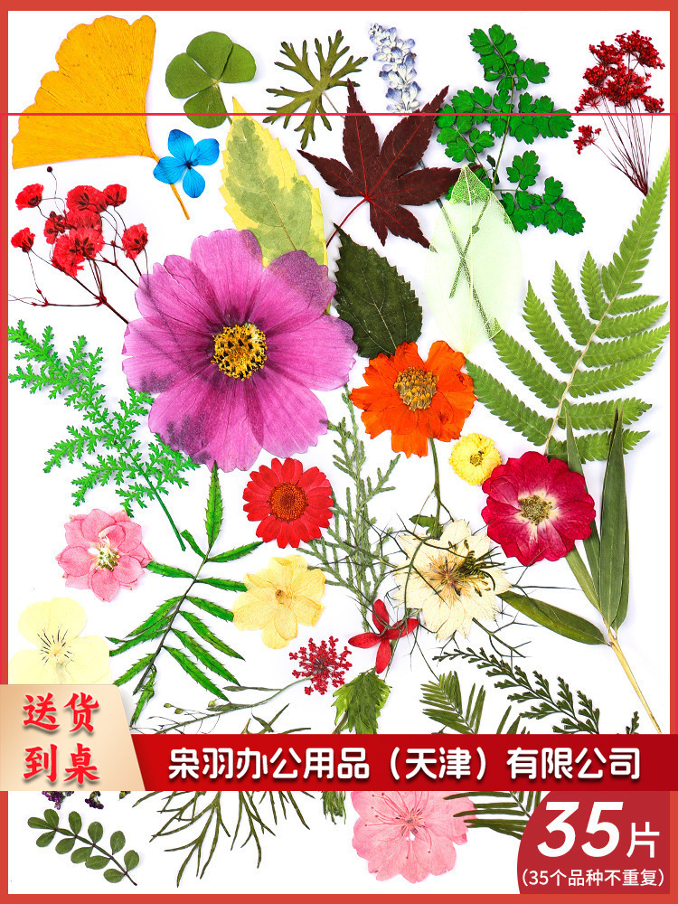亚克力压花相框手工diy(橙心依旧(干花包30片))制作材料包干花植物标本框透明装饰绘画框