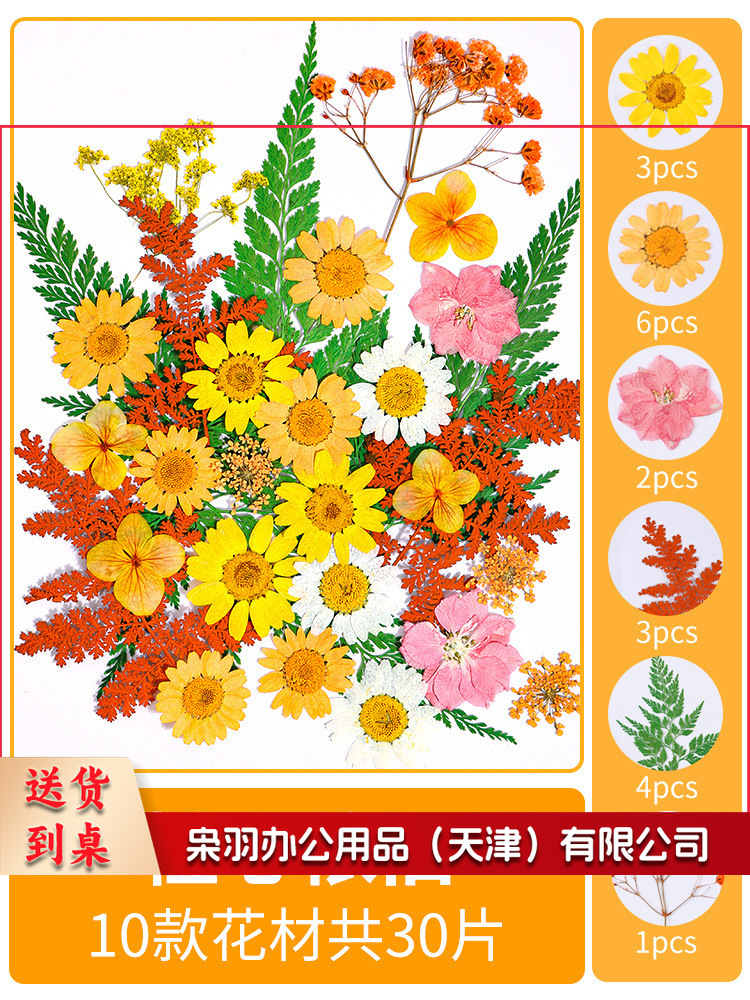 亚克力压花相框手工diy(橙心依旧(干花包30片)))制作材料包干花植物标本框透明装饰绘画框