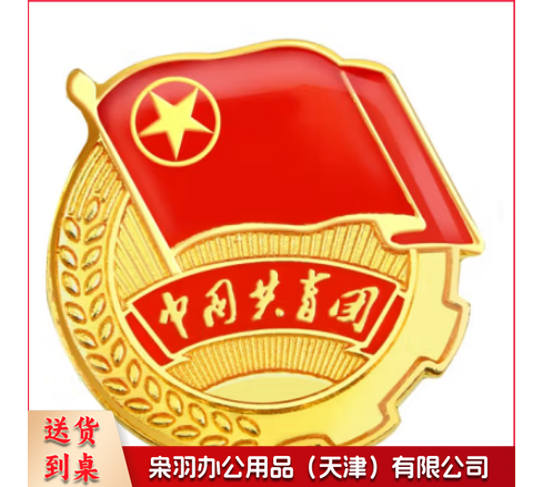 不褪色镀金团徽胸章 标准款团徽 别针款加厚团徽徽章