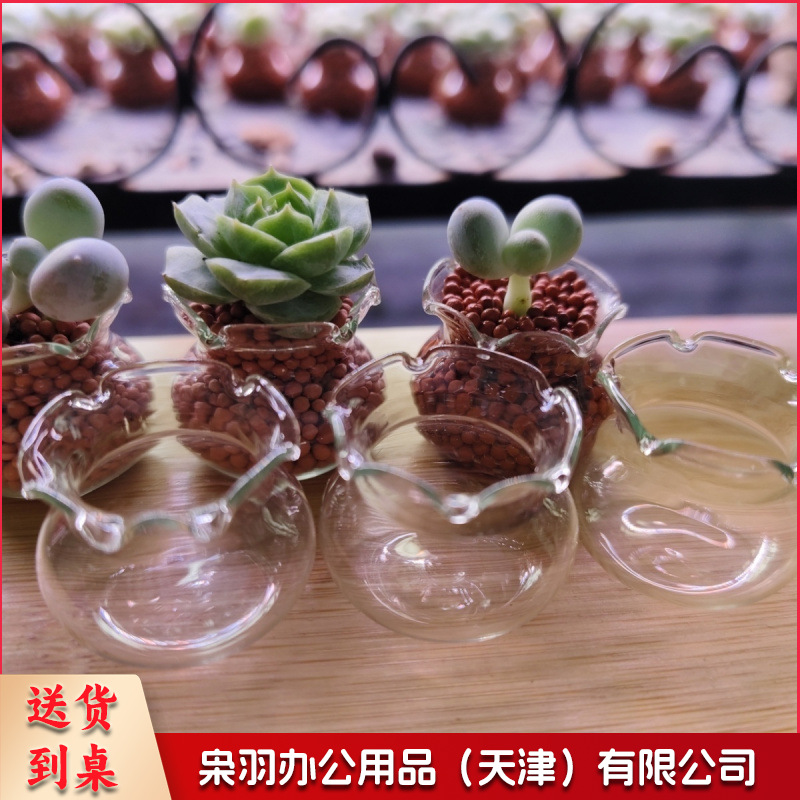 【多肉花盆迷你玻璃】花边鱼缸拇指盆高颜值花园阳台超萌可爱清新2.5*2cm多肉玻璃瓶