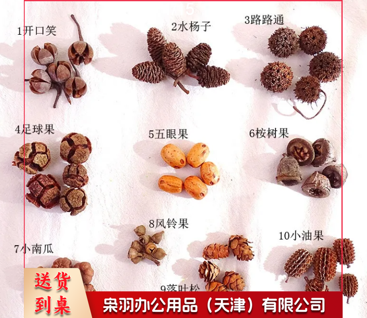 干花干果组合套装幼儿园DIY手工材料包松果橡果干花摆件拍照道具