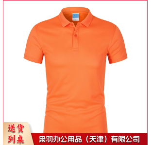 文化衫 T恤 POLO衫 半袖 可定制 具体定制内容联系客服