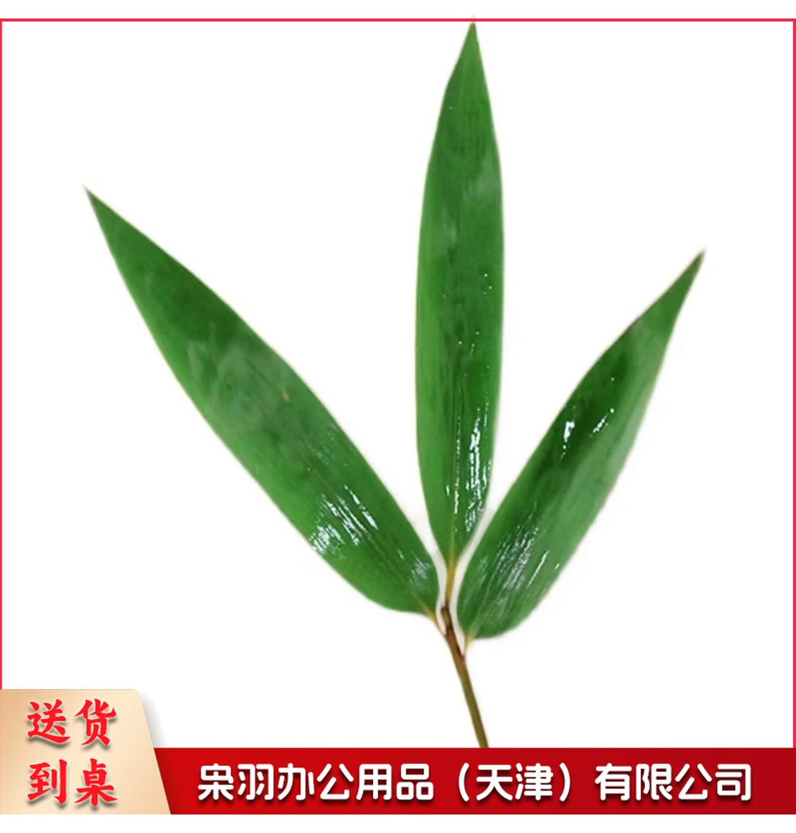 酒店西餐花草摆盘凤尾竹叶(100片/包 )