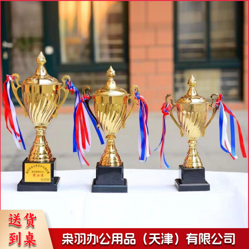 中号金属奖杯