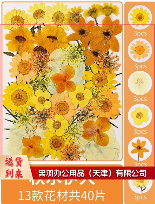 亚克力压花相框手工diy(倾橙绚舞(干花包18片))制作材料包干花植物标本框透明装饰绘画框