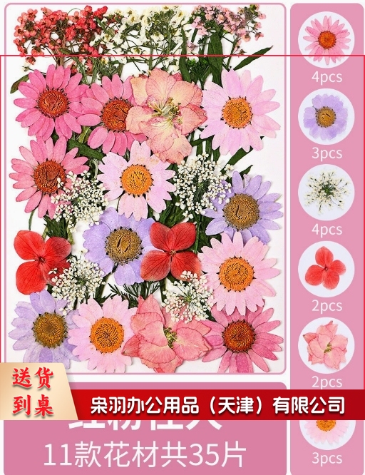 亚克力压花相框手工diy(红粉佳人(干花包35片))制作材料包干花植物标本框透明装饰绘画框