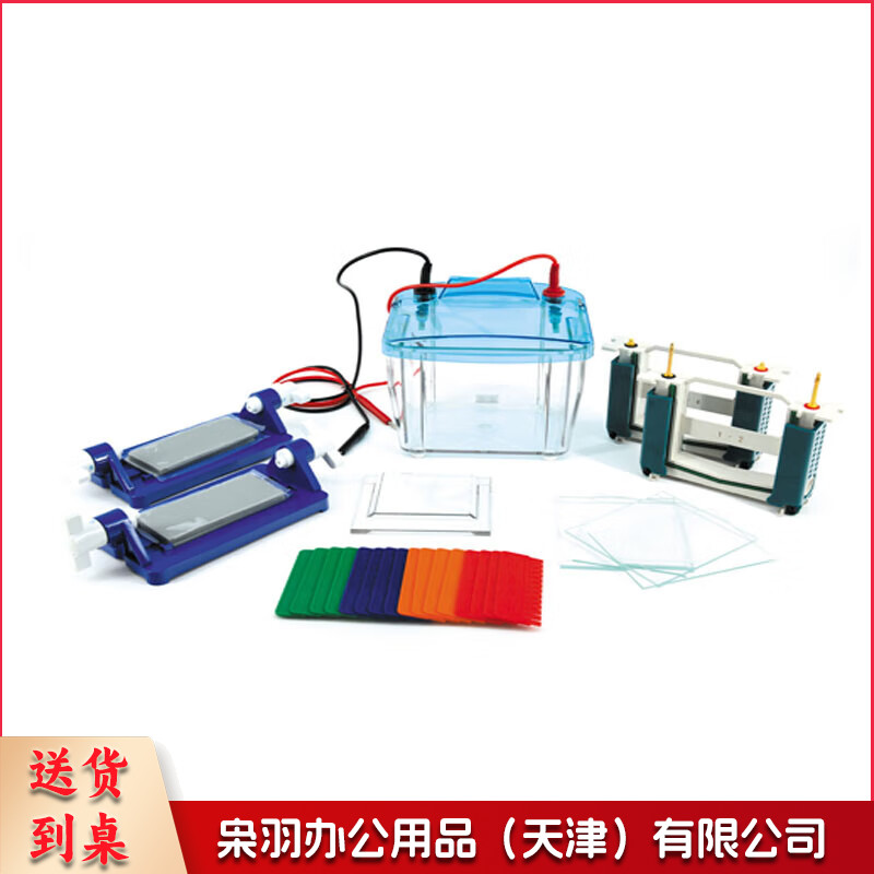 DYCZ-25E型P4垂直电泳仪 DYCZ-25E