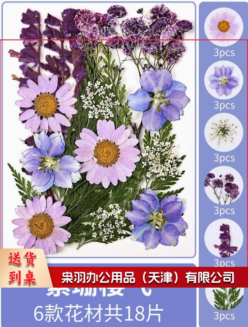 亚克力压花相框手工diy(紫珊樱飞(干花包18片))制作材料包干花植物标本框透明装饰绘画框